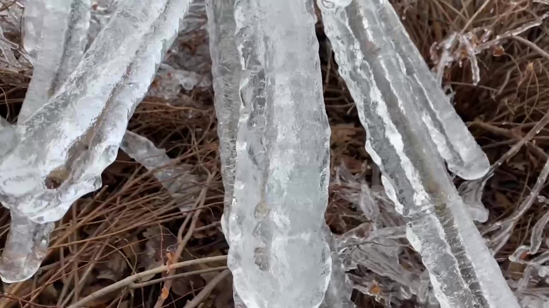Freezing Rain Accumulation On Trees, Signs and More In Warm Springs, Virginia