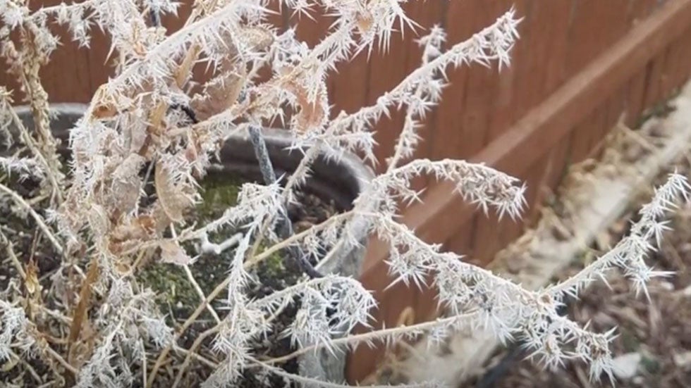 Frozen Fog Creates Spectacular Sight