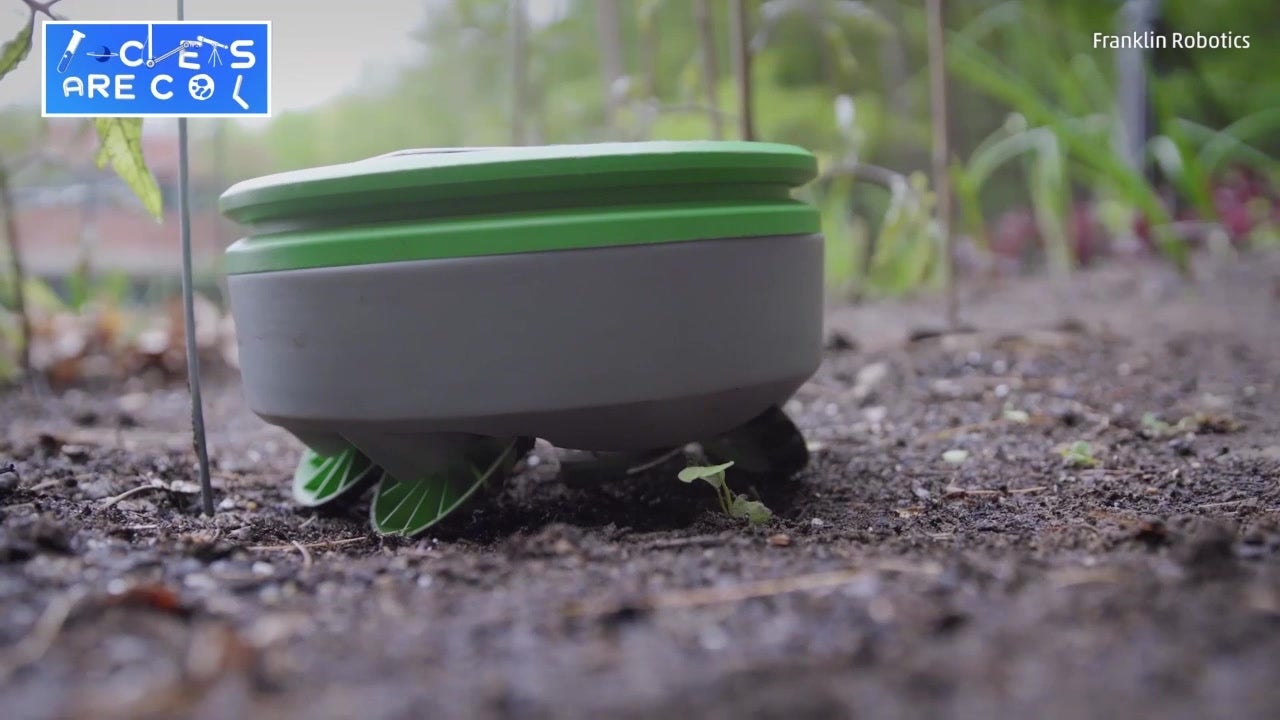 Garden Roomba Kills Weeds Without Chemicals