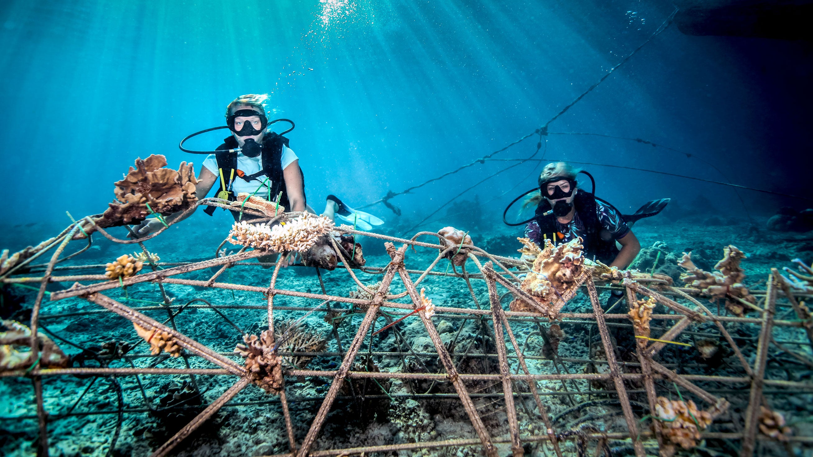 Underwater view of divers fixing a seacrete on seabed, (an artificial steel reef with electric current), in Lombok, Indonesia.