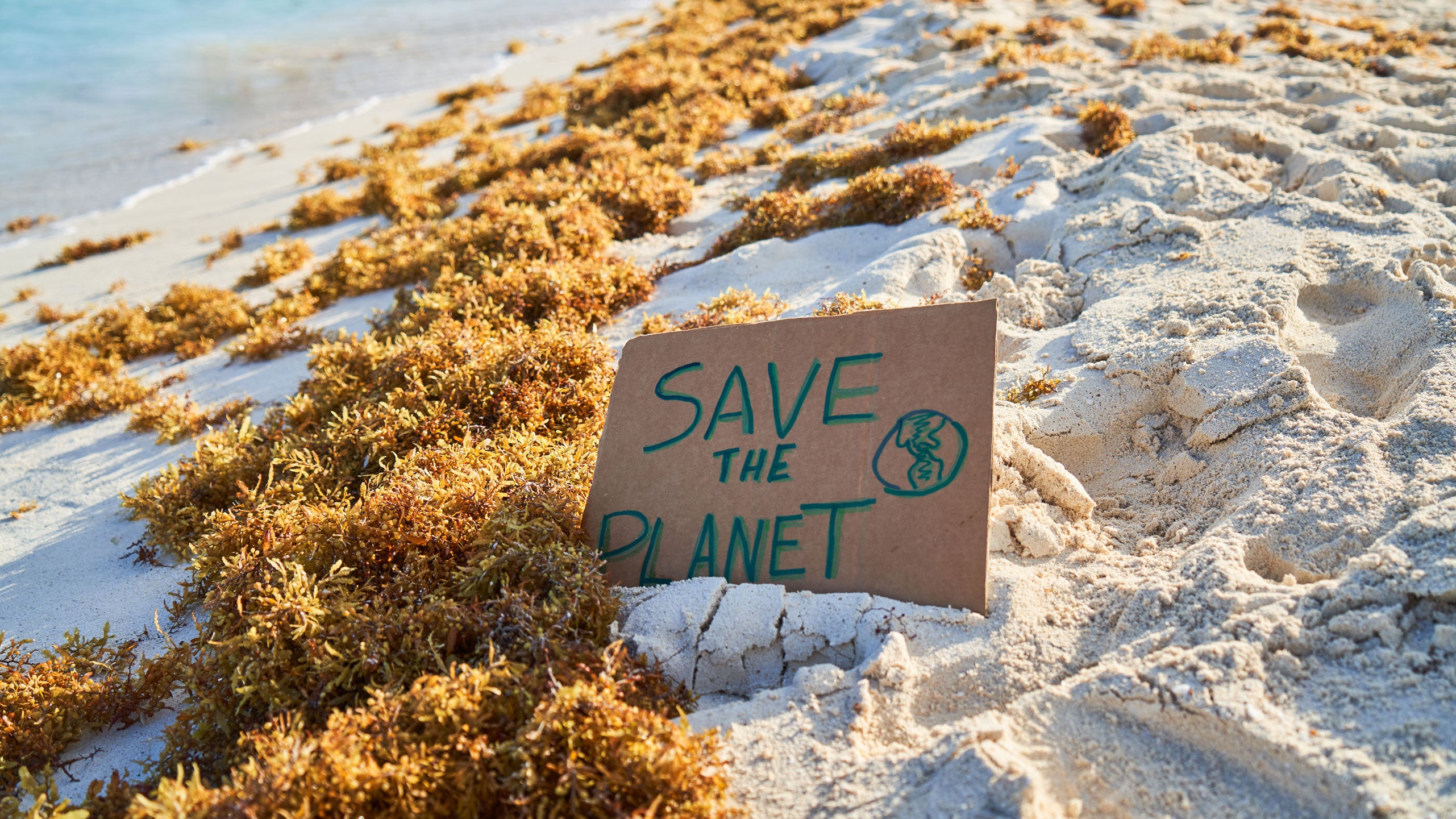 "SAVE THE PLANET" sign with sargassum on the beach in the caribbean.