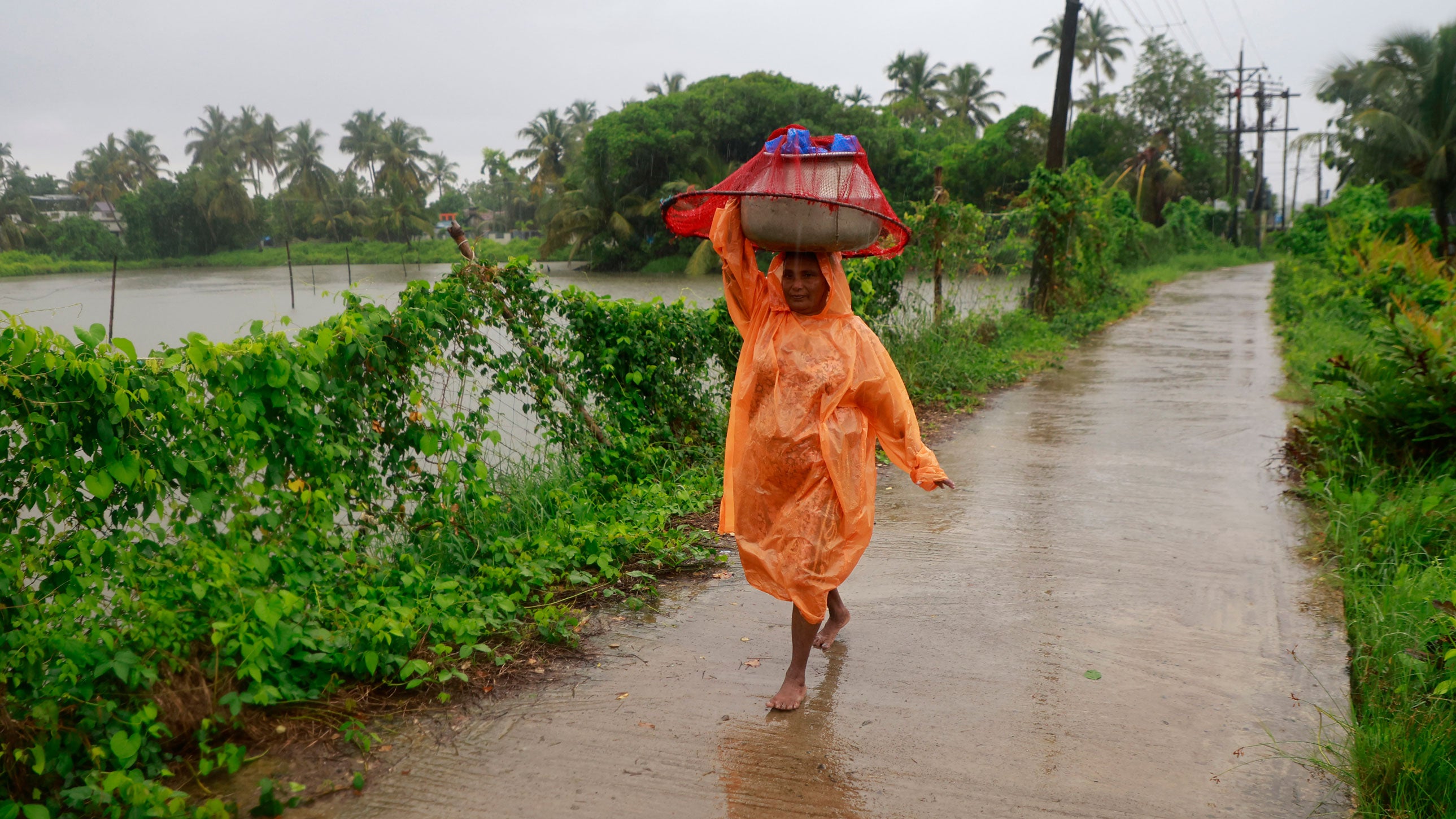 A fisherwoman walks along a tributary of Vembanad Lake beside a fish farm during rain at Kumbalangi Village on the outskirts of Kochi, India, on June 5, 2026, which marks World Environment Day. 