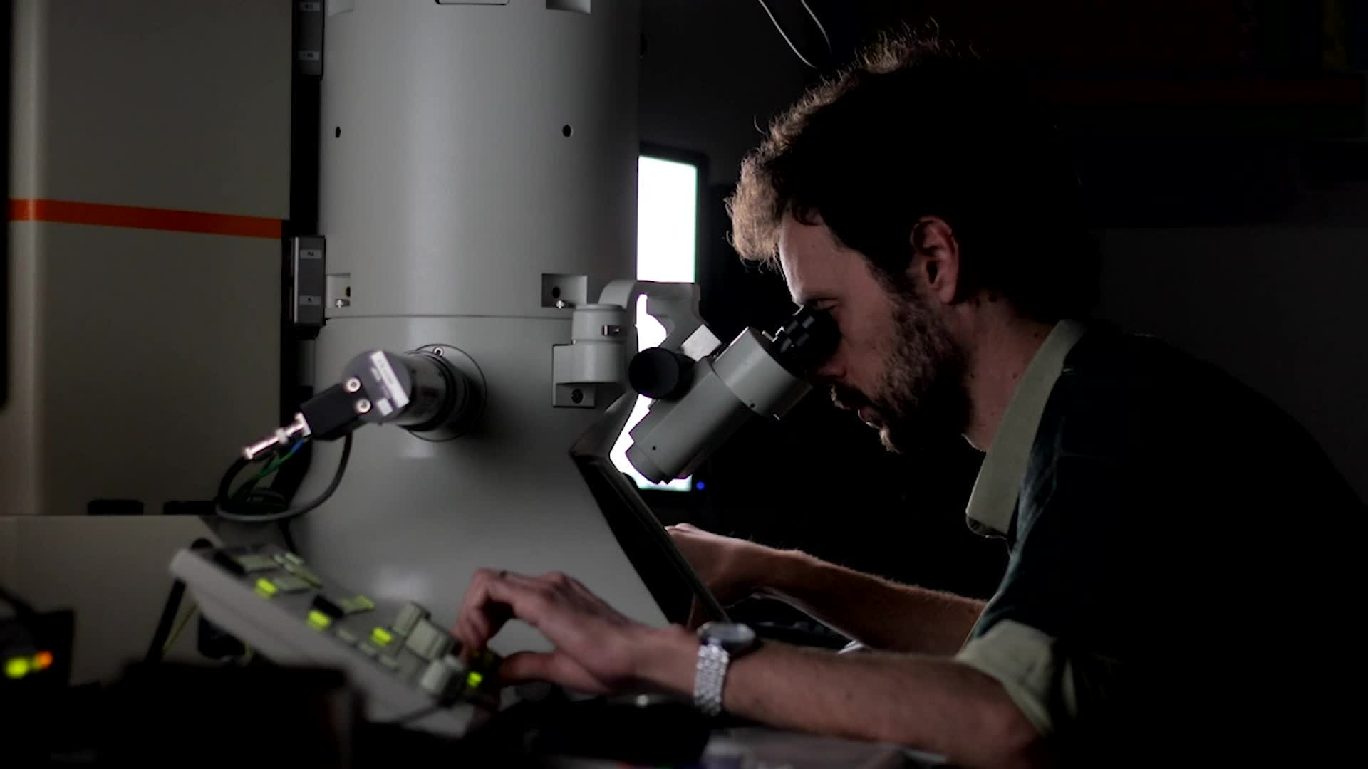 Giant Viruses Found In Massachusetts Forest