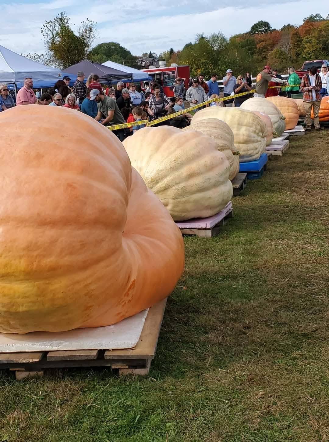 The Southern New England Giant Pumpkin Growers Weigh Off on Oct. 10, 2026.