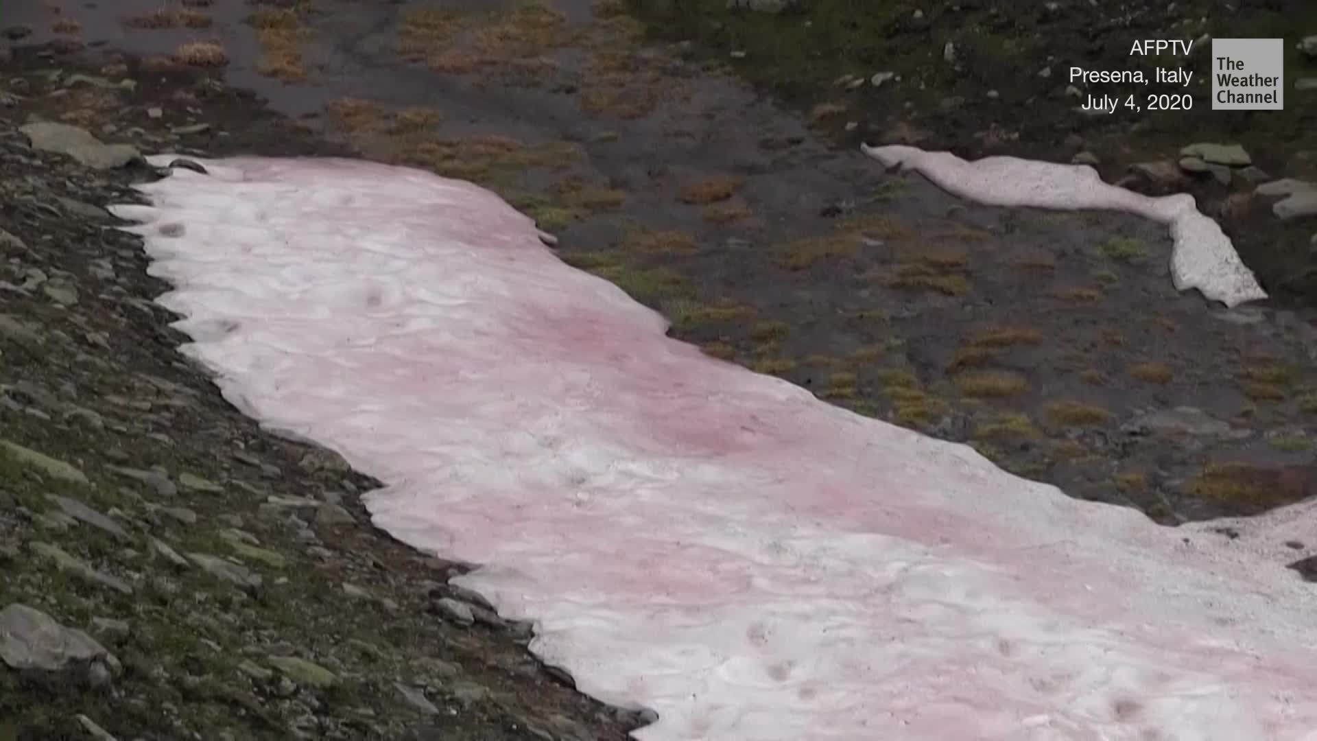 Glacier Turns Pink in Italy, and It&rsquo;s a Bad Sign