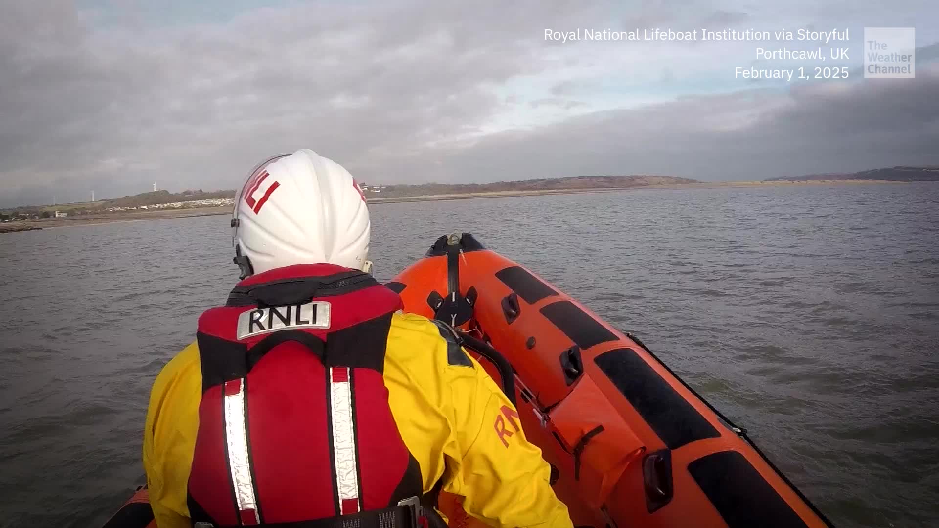 Golden Retriever Swept Out To Sea, Rescued By Lifeboat Crew