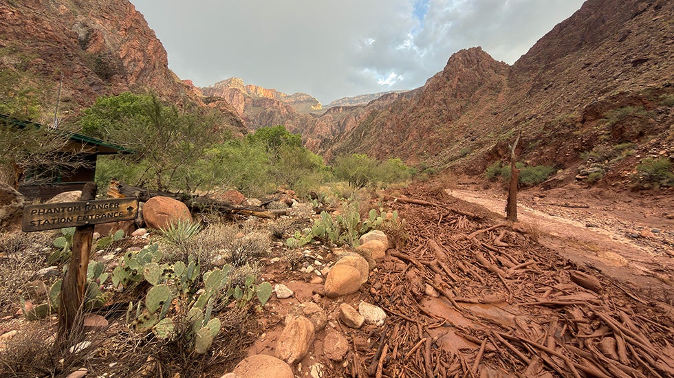 Rocks strewn along a creek bank in the Grand Canyon