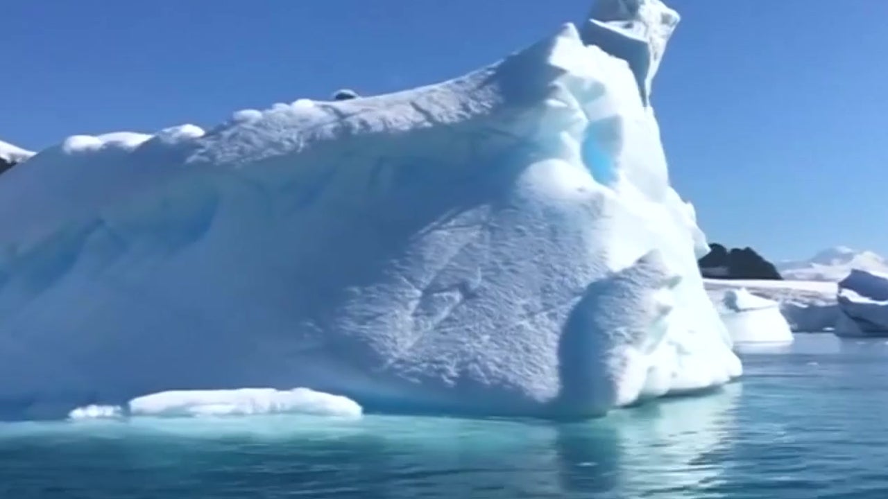 Greenpeace Finds Microplastics, Debris, Chemicals in Antarctica