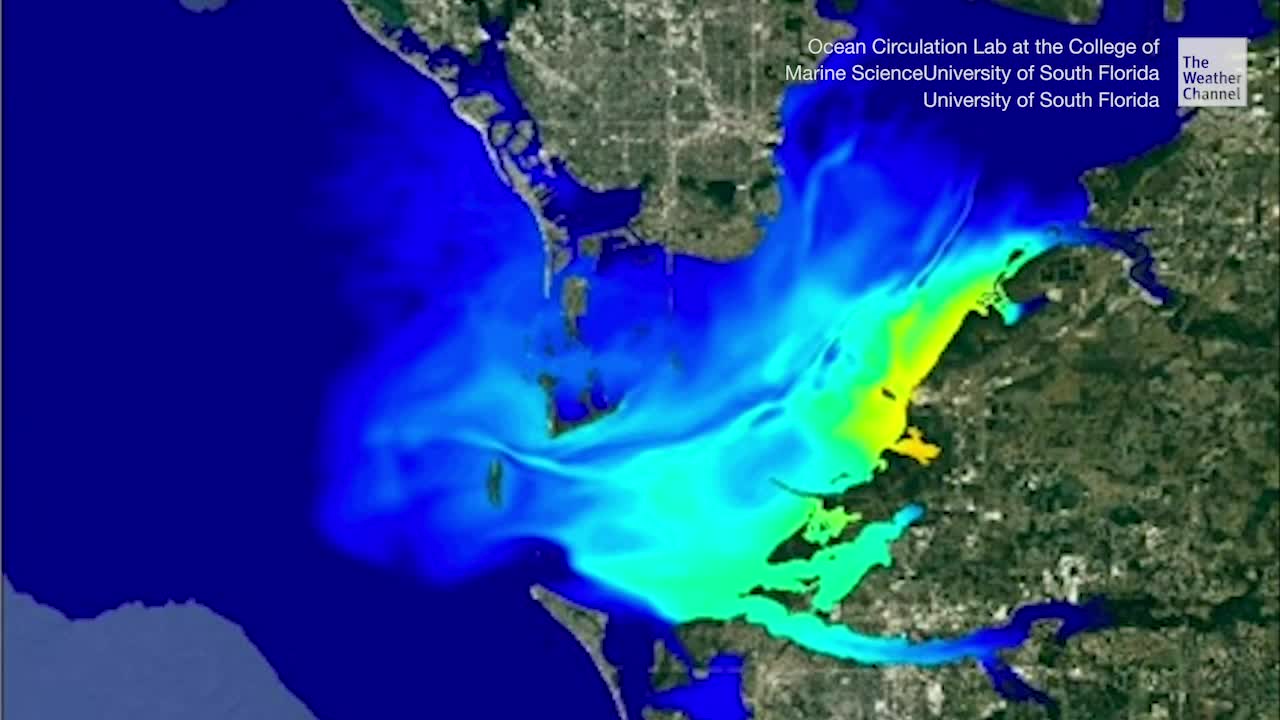Group Models Discharge From Piney Point