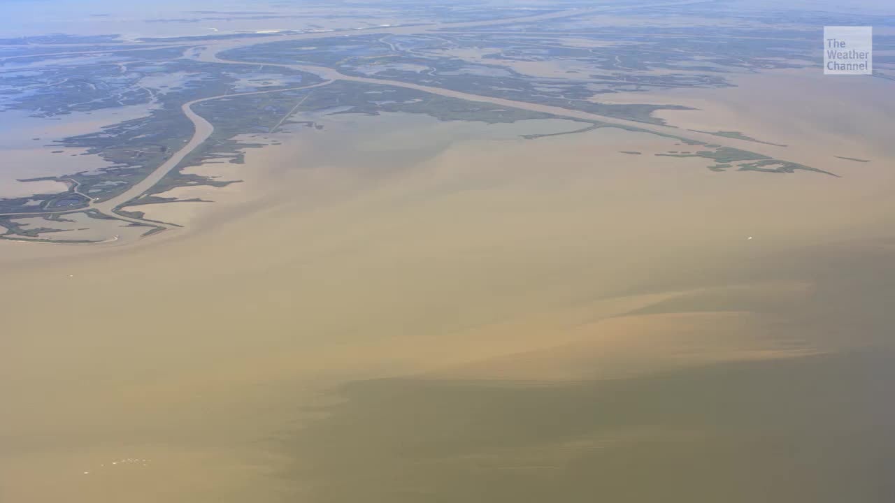 Gulf of Mexico Dead Zone Likely to Be Average-Sized This Year