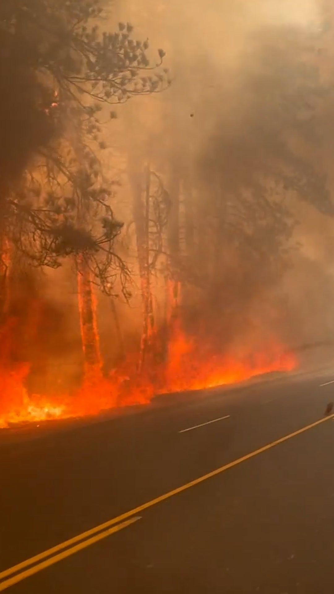 Harrowing drive through wildfire