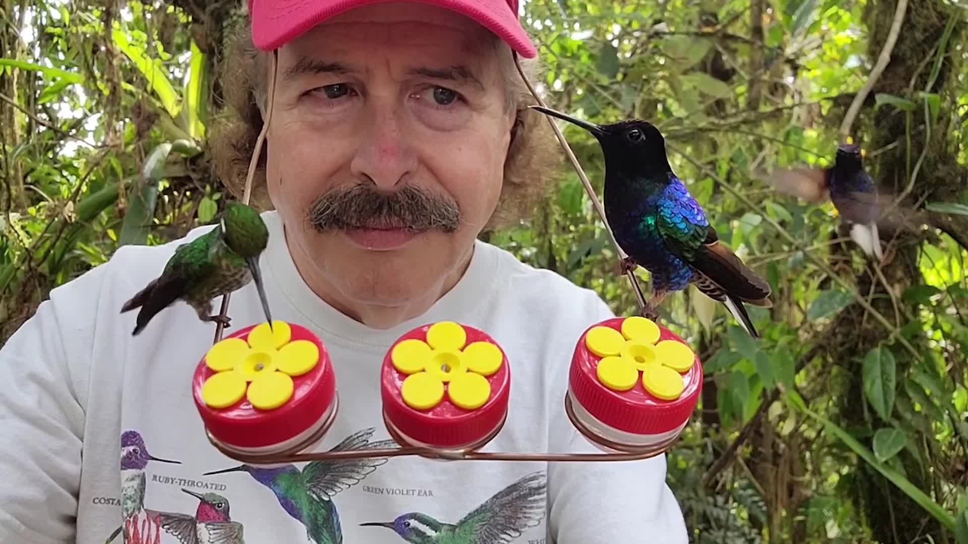 Hat Allows For Up Close Hummingbird Views