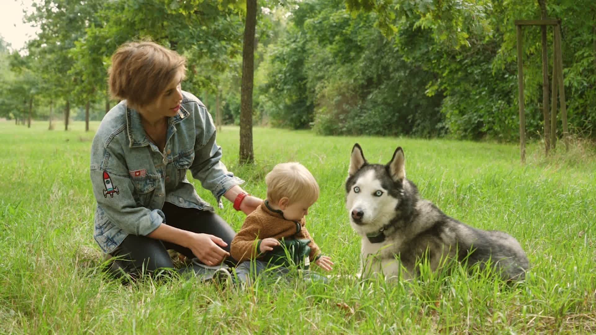 Having Pets Could Reduce Risk Of Allergies, Study Suggests