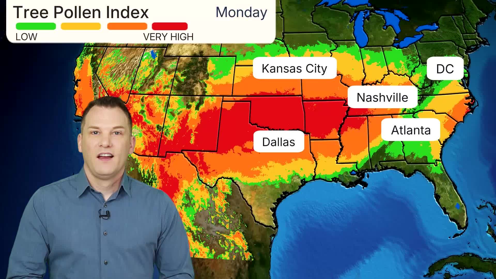 Heads Up Allergy Sufferers: Pollen Set To Make A Comeback