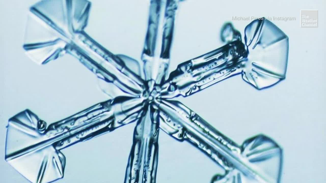 Here&rsquo;s What Snowflakes Really Look Like