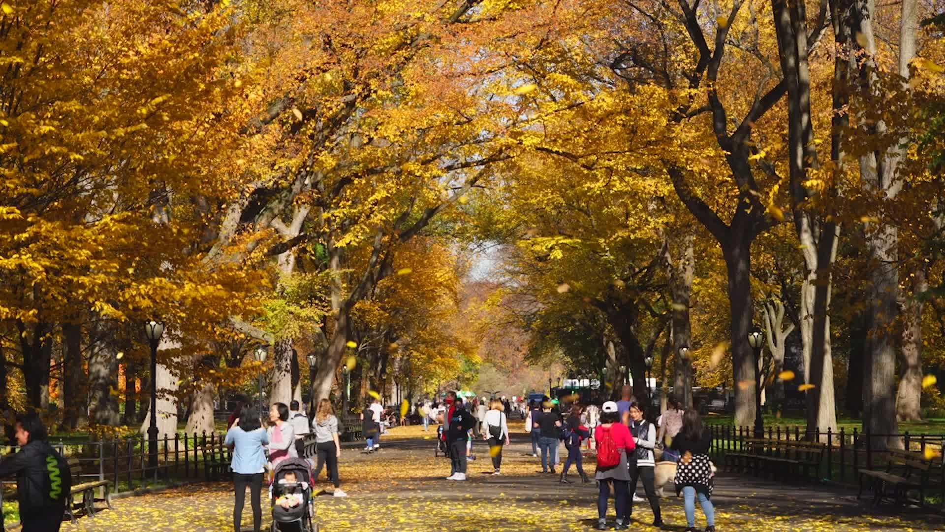 Here's Where Travelers Should Head This Fall