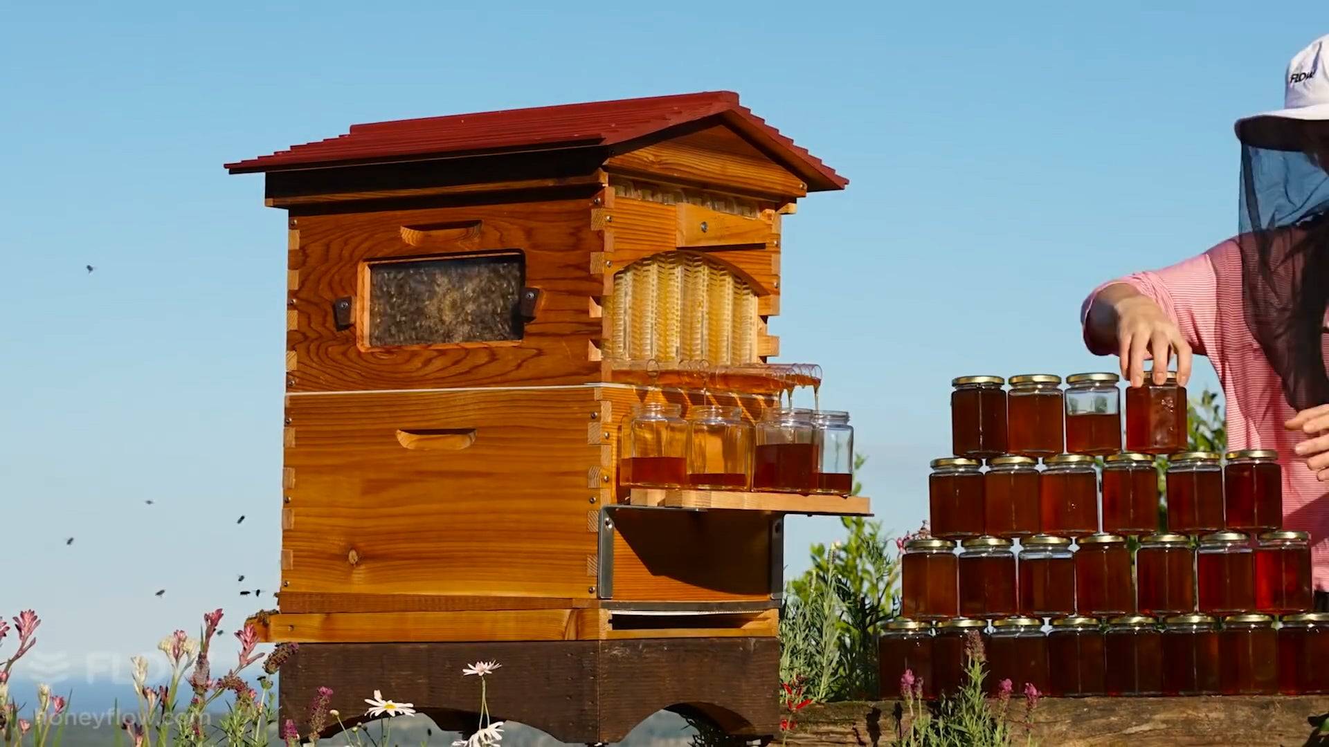 Honey On Tap Directly from Beehive