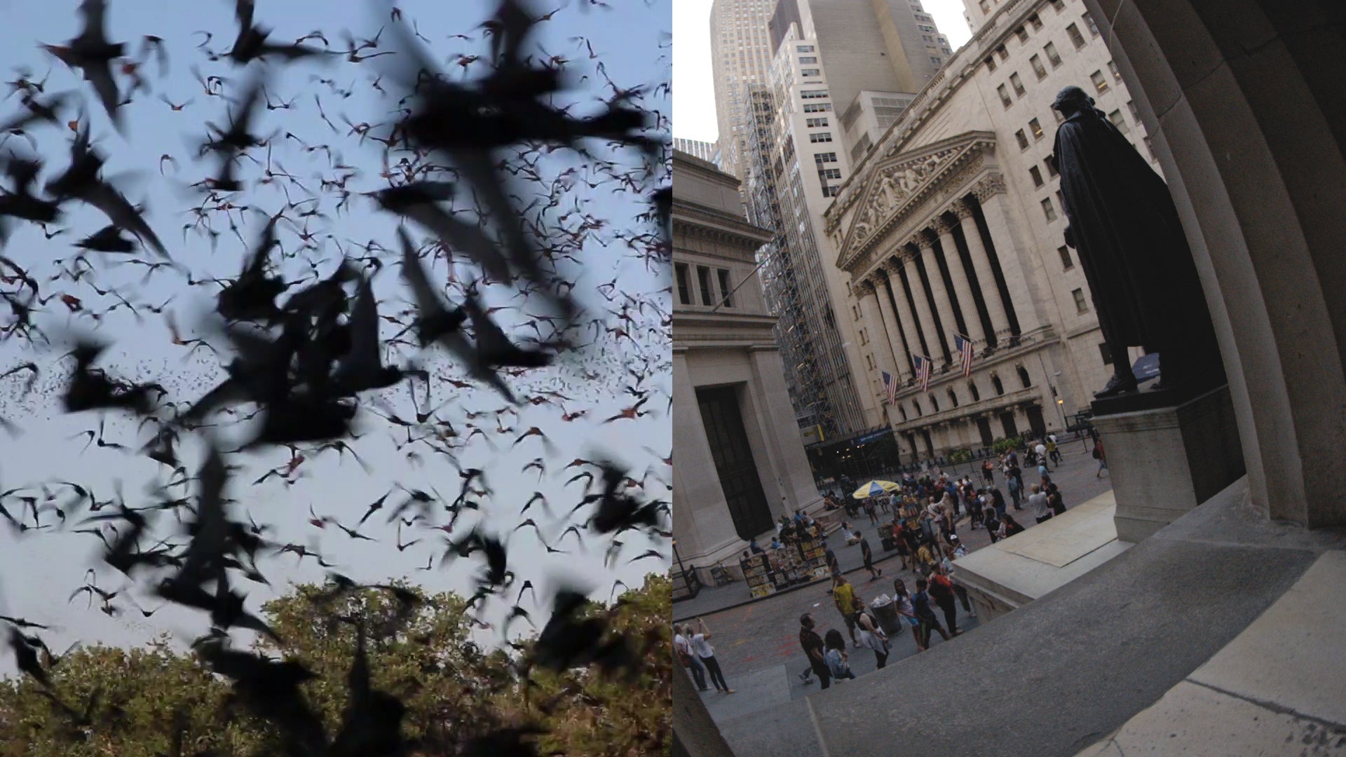 How Bats Contribute $23 Billion Annually to U.S. Economy