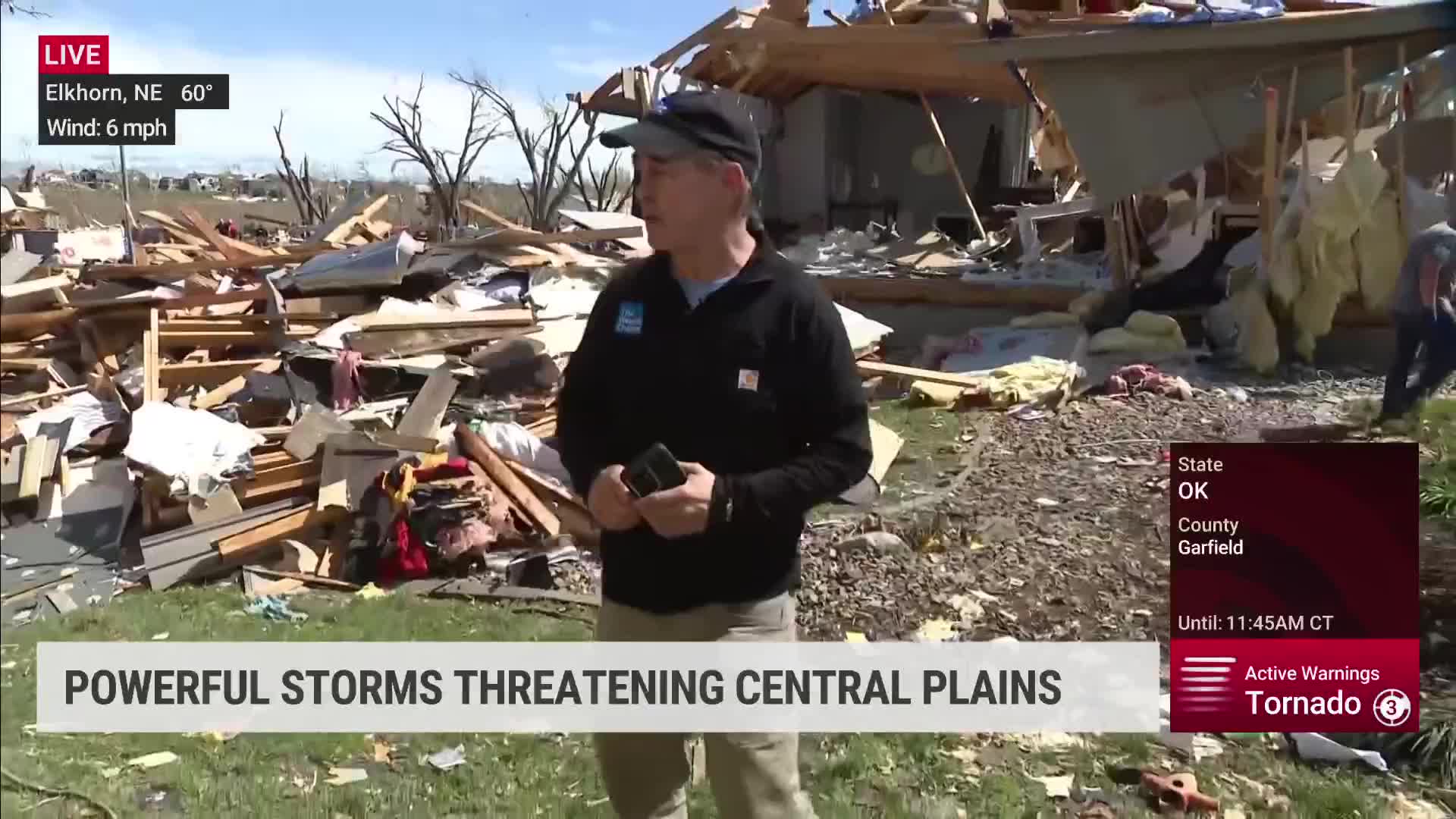 How Buzz, The Yorkie, Survived Nebraska Tornado