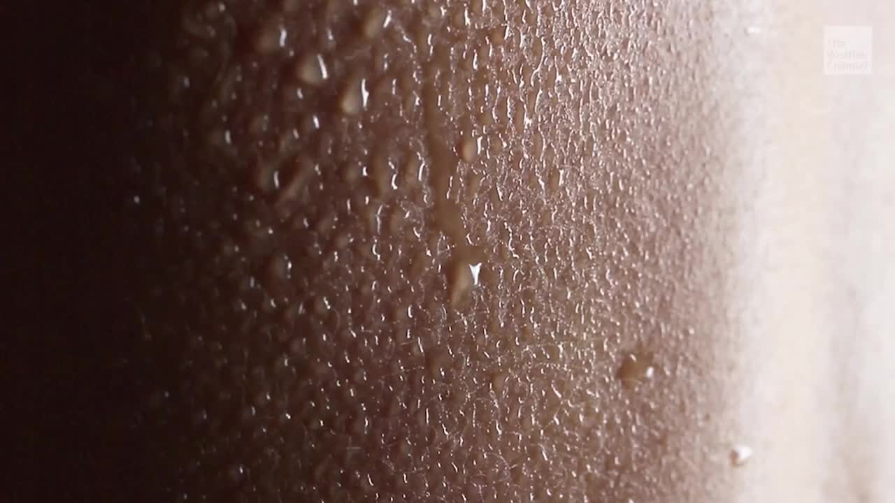 How Climate Change Affects Your Skin Cancer Risk