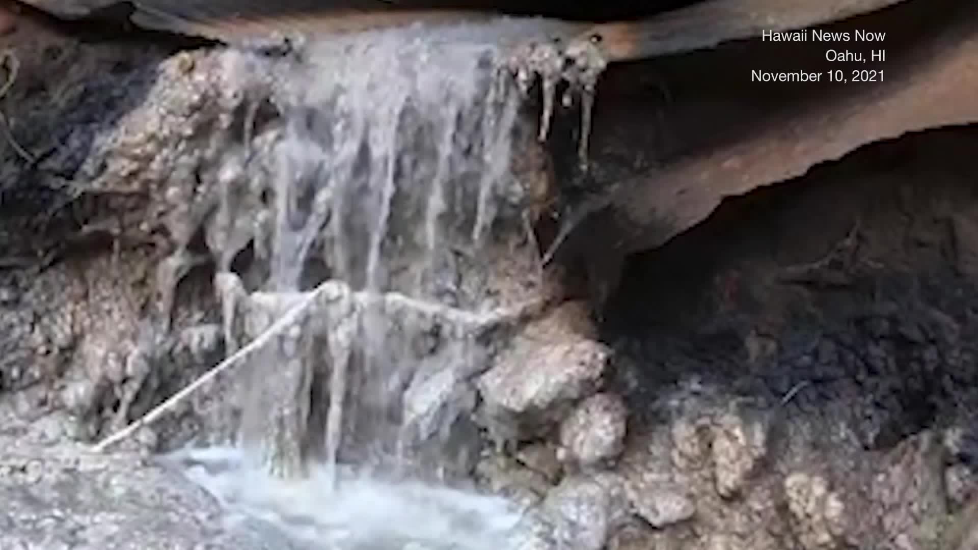 How Did Beer Get Into This Stream?