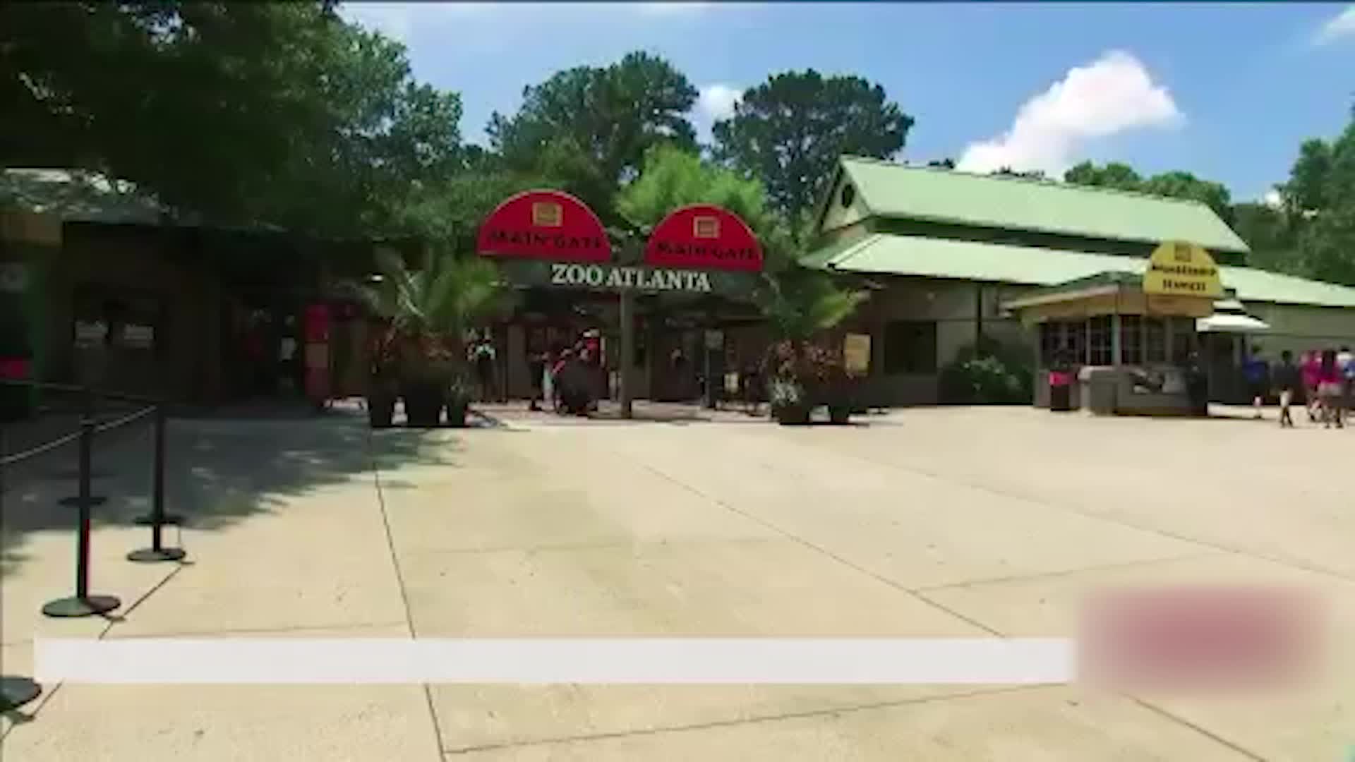 How They Beat The Heat At The Zoo