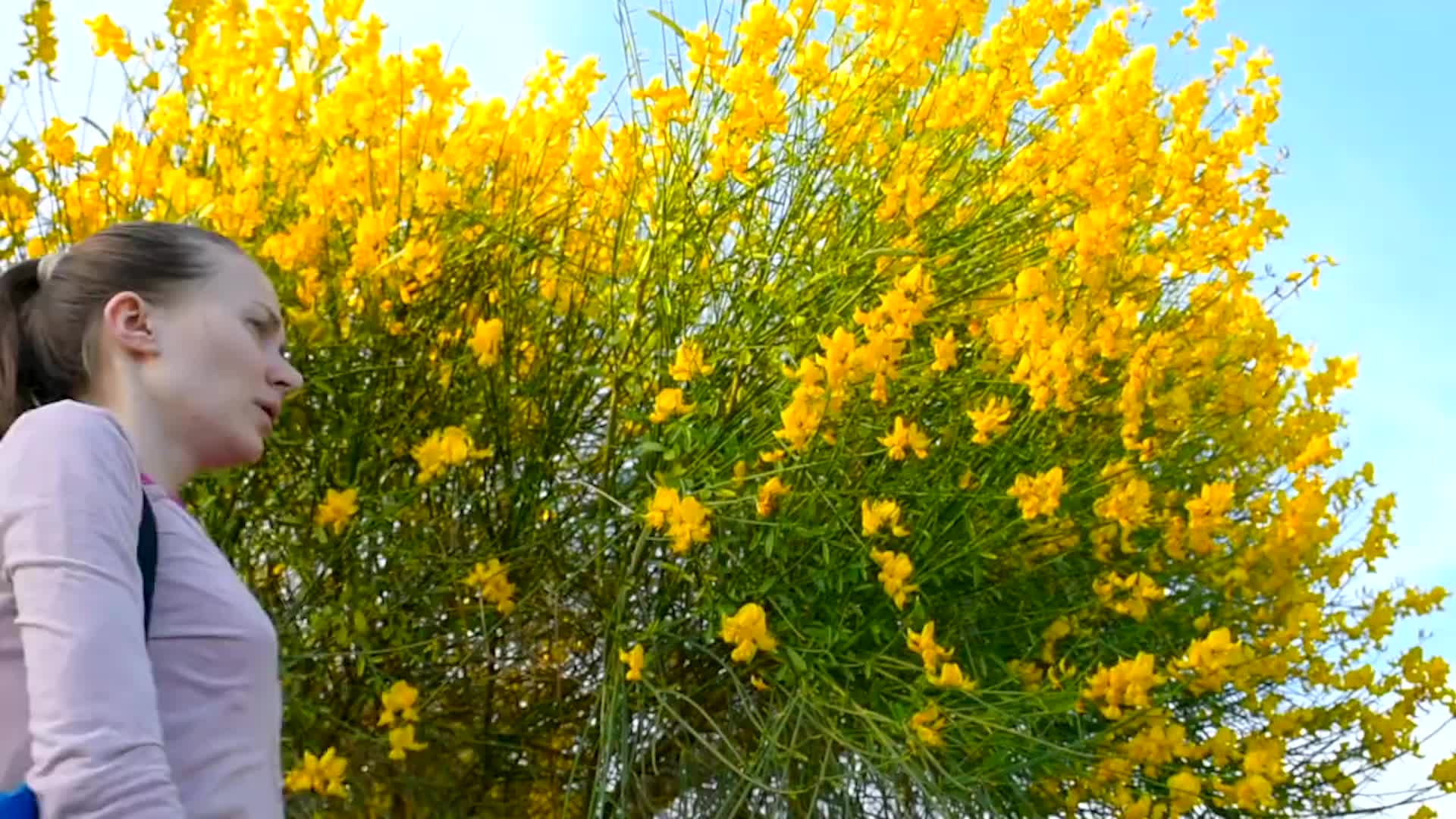 How To Prevent Allergies Before A Flare-Up
