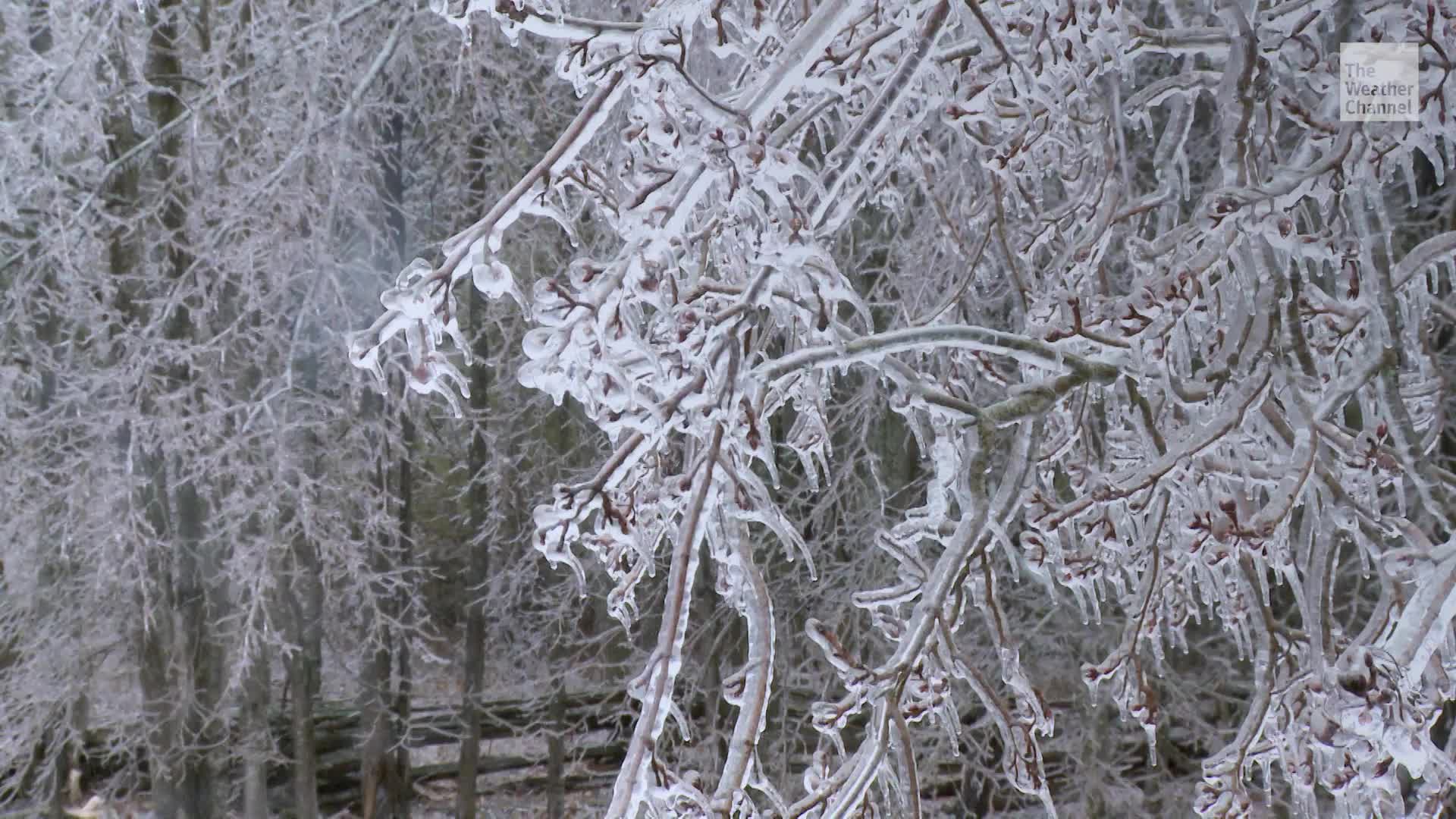 How To Stay Safe During An Ice Storm
