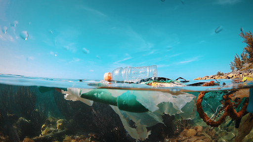 How You Can Help Stop Plastic Pollution in Our Oceans