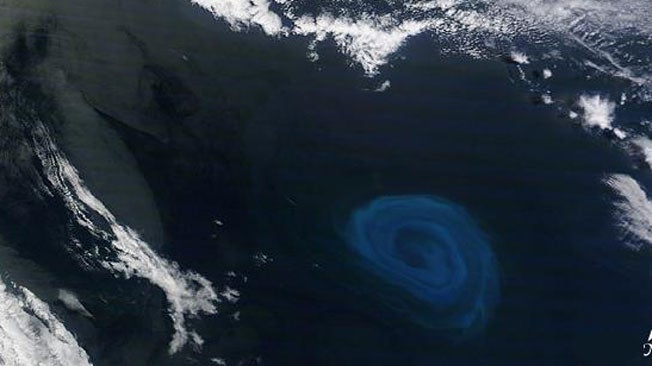Huge ‘Dead Zone” Found in Indian Ocean