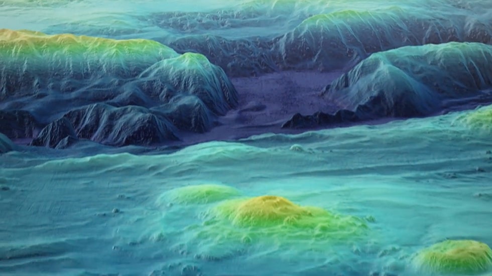 Human Activity Is Dissolving the World's Seafloors