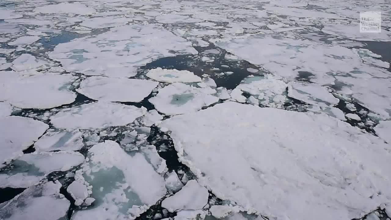 Ice Stream Collapsing Russian Arctic Ice Sheet