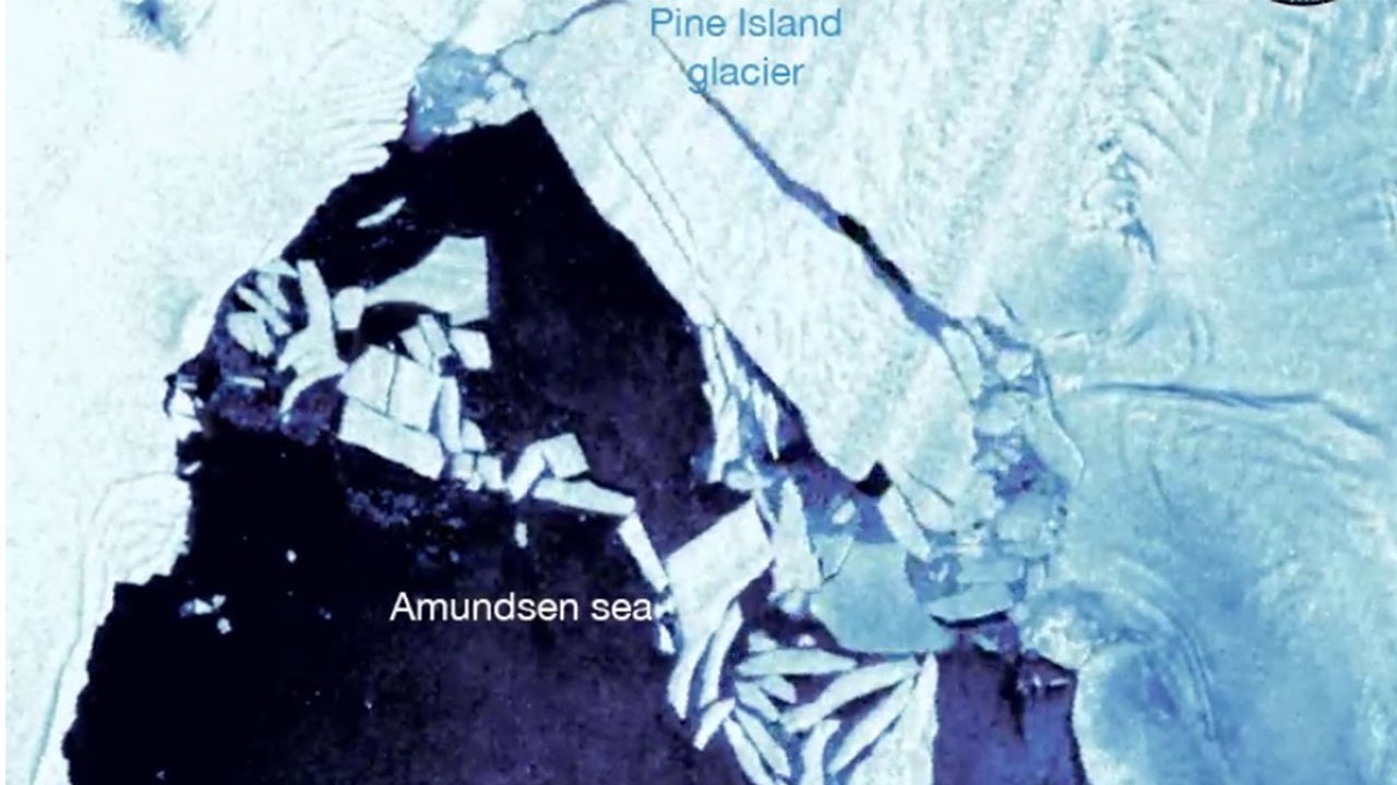 Iceberg 5 Times Larger Than Manhattan Breaks Off Antarctic Glacier