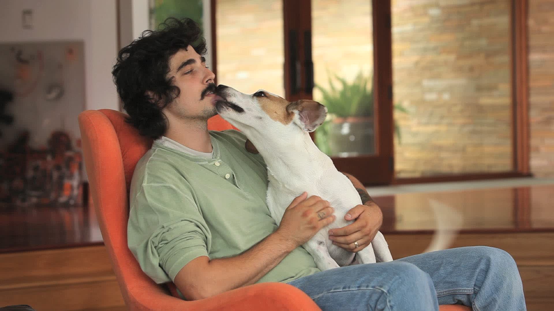 If You Give Your Pets A Kiss, It Could Make You Sick