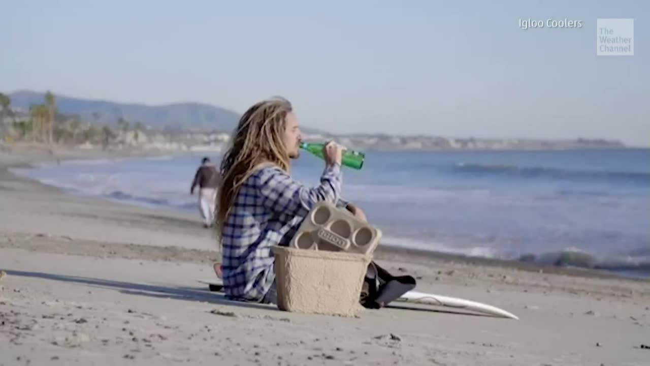 Igloo Unveils Biodegradable Alternative to Styrofoam Coolers