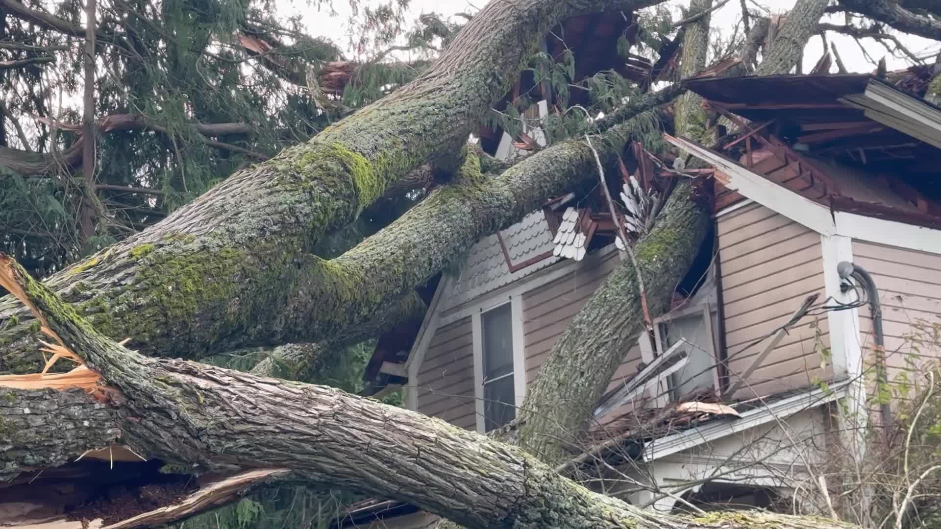 In Just Hours, Bomb Cyclone Changes Northwest Landscape