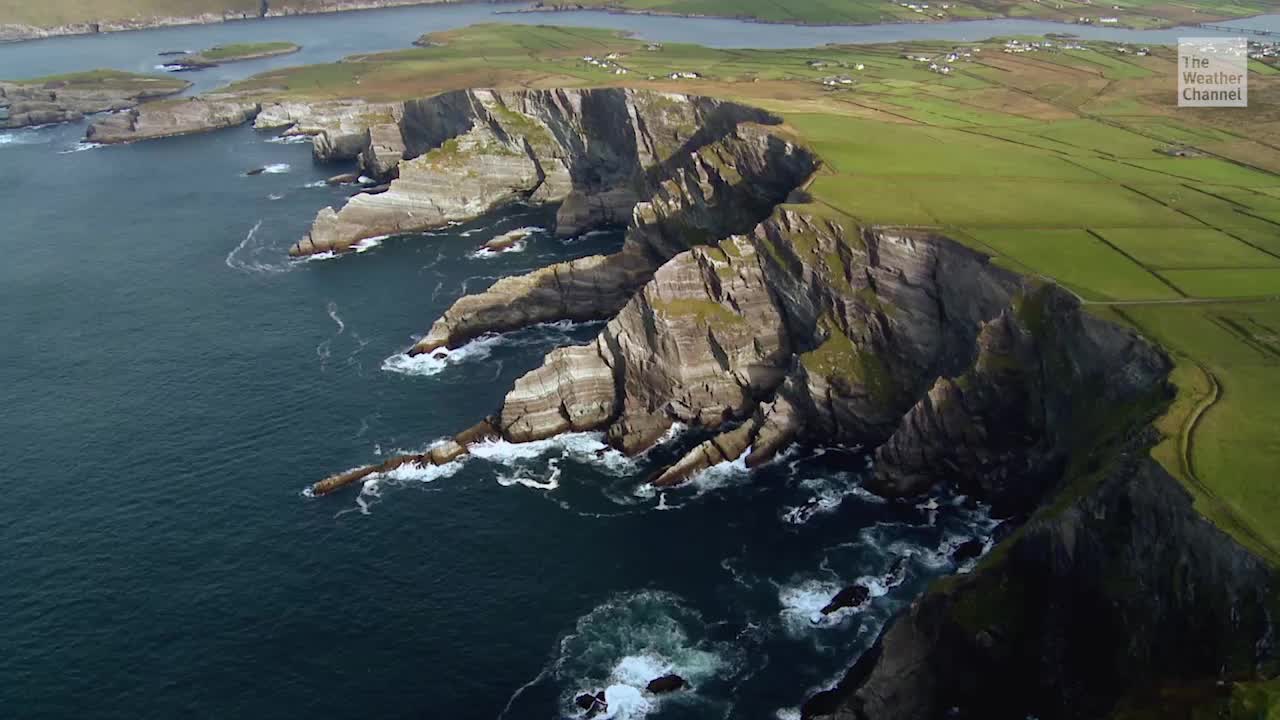 Ireland’s Plan to Plant 400 Million Trees to Combat Climate Change