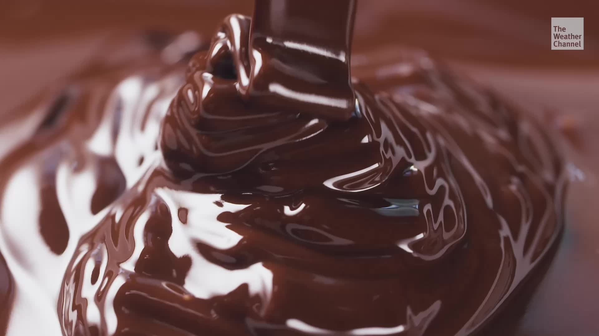 Is Chocolate Actually Good For Your Skin?