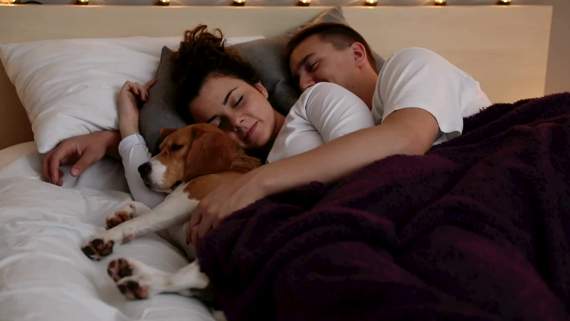 Is Co-Sleeping With Your Dog Making You Sick?