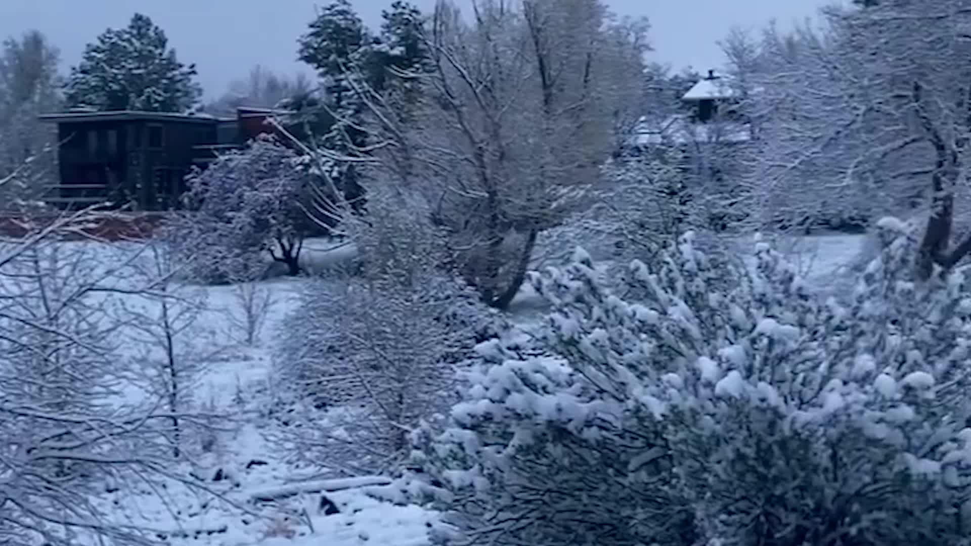 Is It Spring Or Winter? Denver Forecast Goes From 40s To 70s