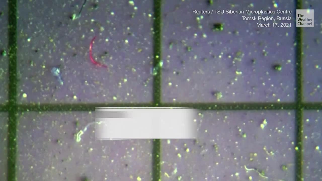 It Could Be Snowing Microplastics in Siberia