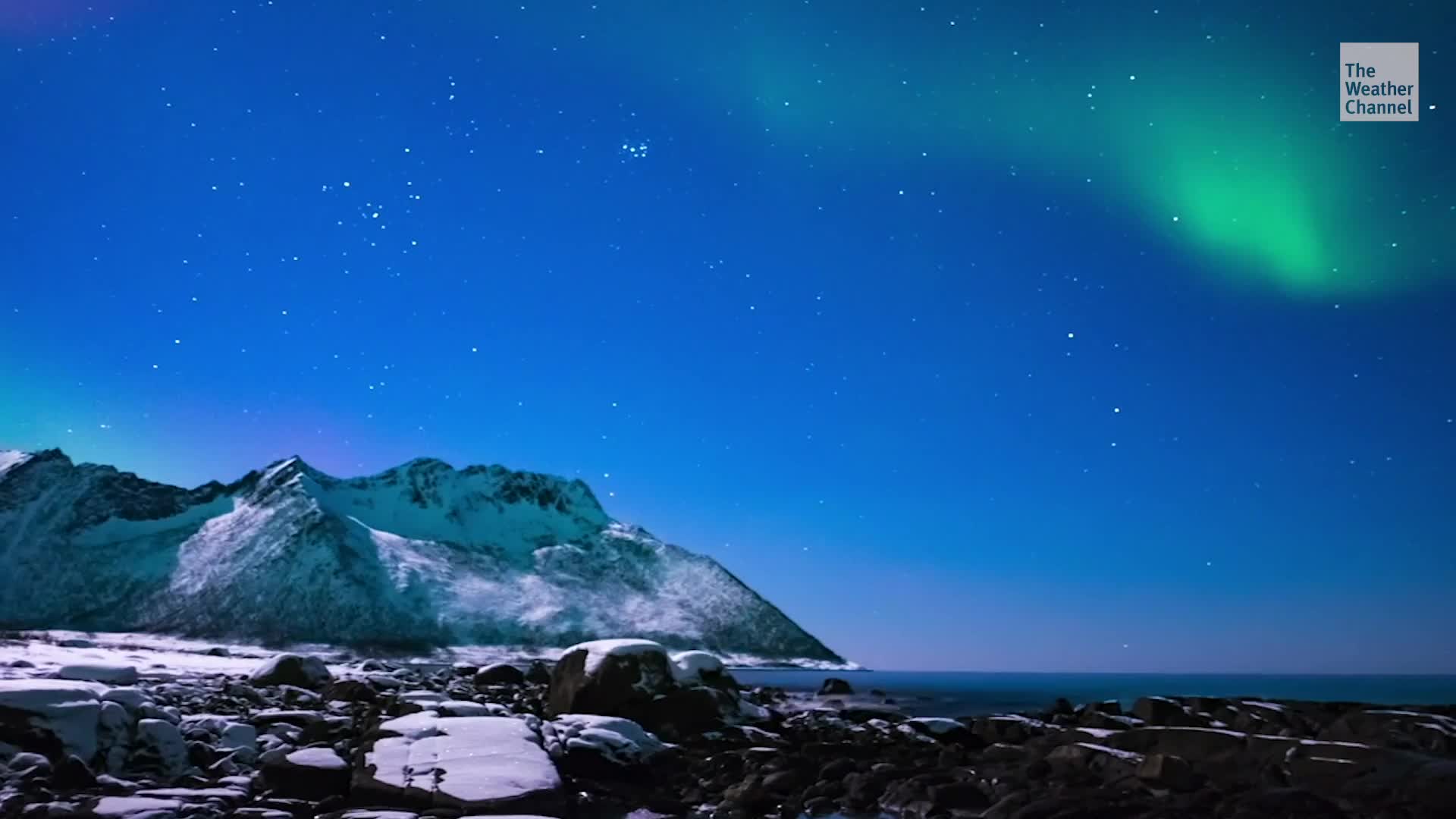 It Wasn’t All Bad News: Five Big Wins for the Planet in 2020