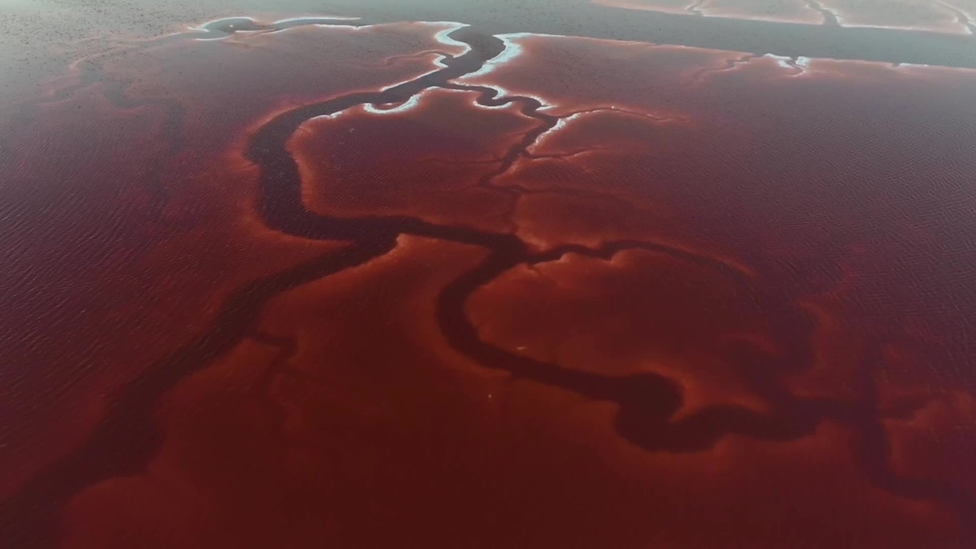 It’s A Great Time To See Pink Salt Ponds In California