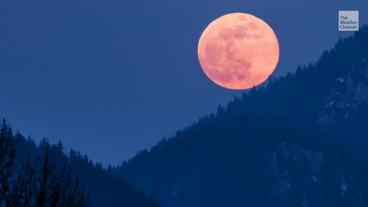 January Celestial Events: Meteor Showers, A Comet And More