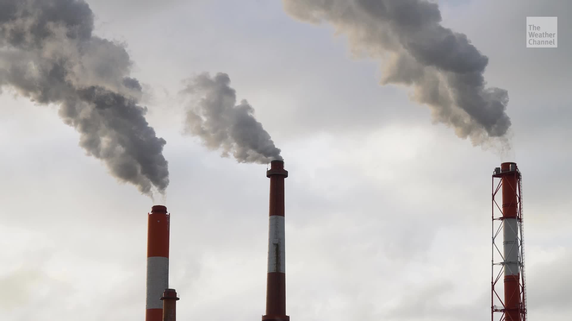 Japan Building Coal Plants to Cope with Nuclear Power Decline