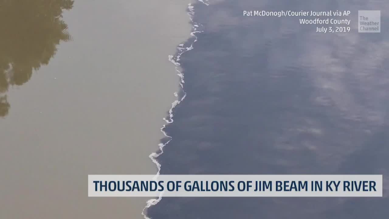 Jim Beam River Runoff Kills Thousands of Fish