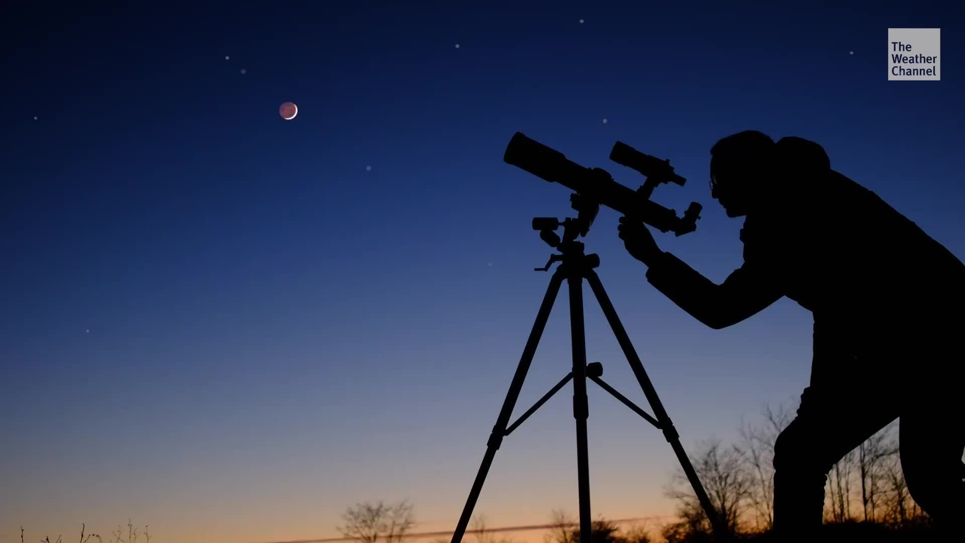 June Brings Planetary Alignment, Meteor Showers And More