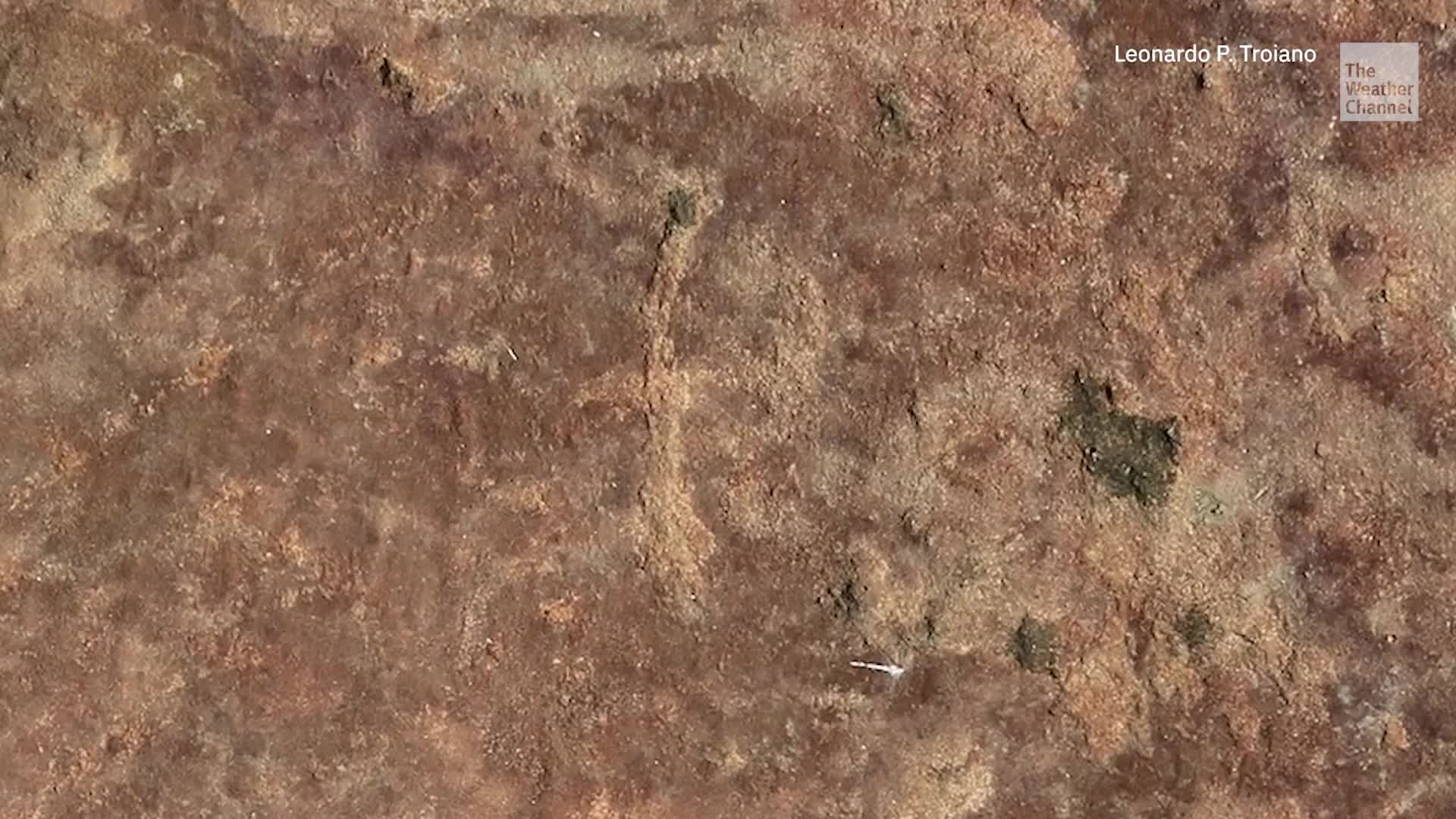 Just Unearthed: Indigenous Humans Intrigued By Dino Prints 