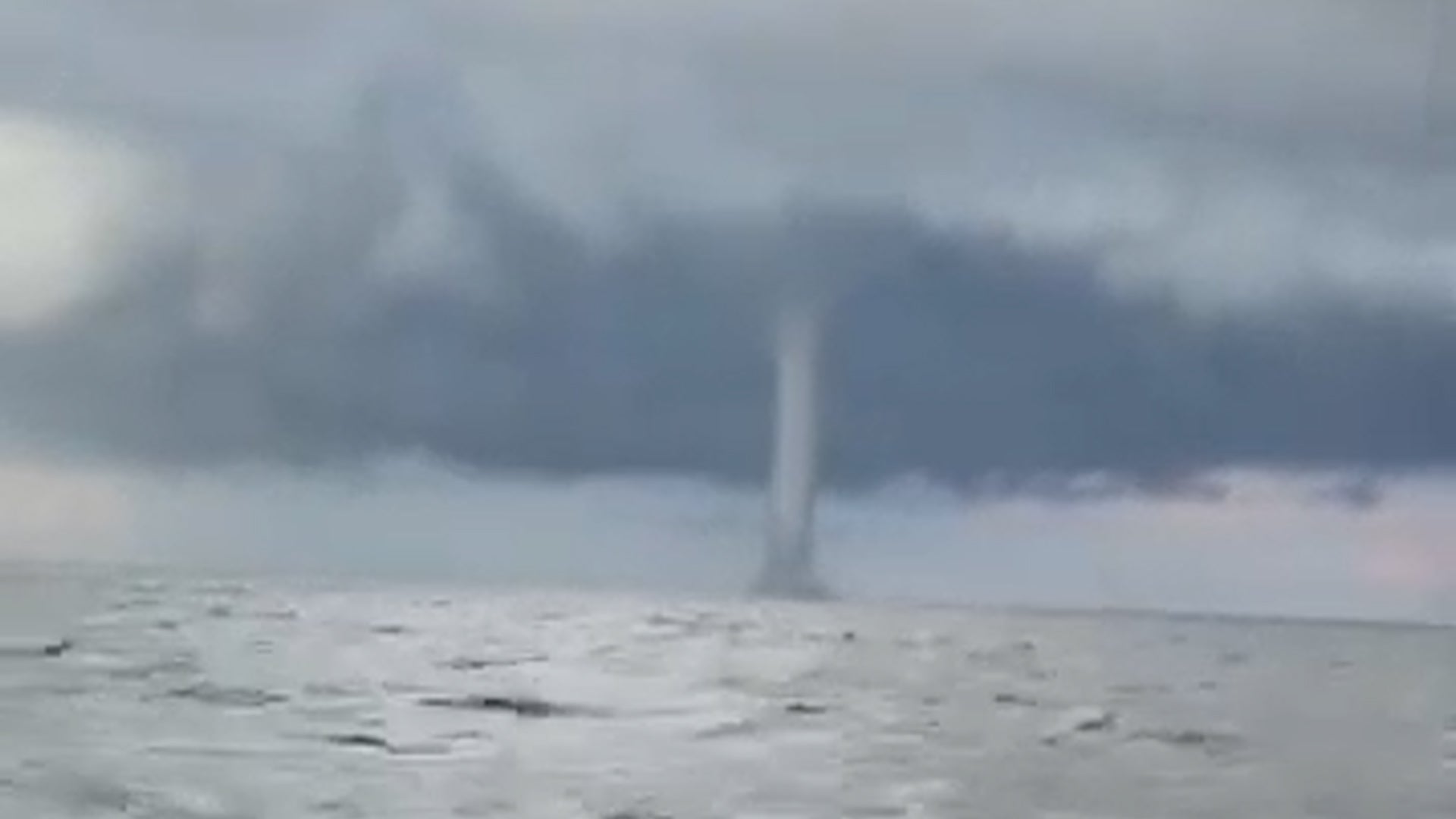 ‘Pretty freaking awesome’: Kayakers capture in the Gulf