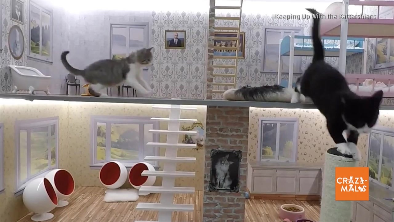 ‘Keeping up with the Kattarshians’ Takes Off